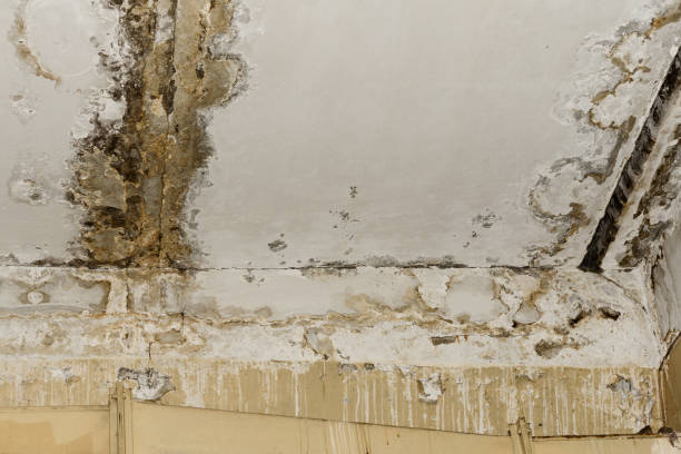 Water damage restoration insurance claims in Lake City, PA